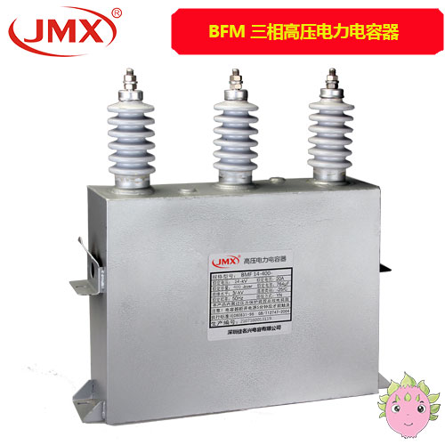 BFM高壓并聯(lián)電力電容器